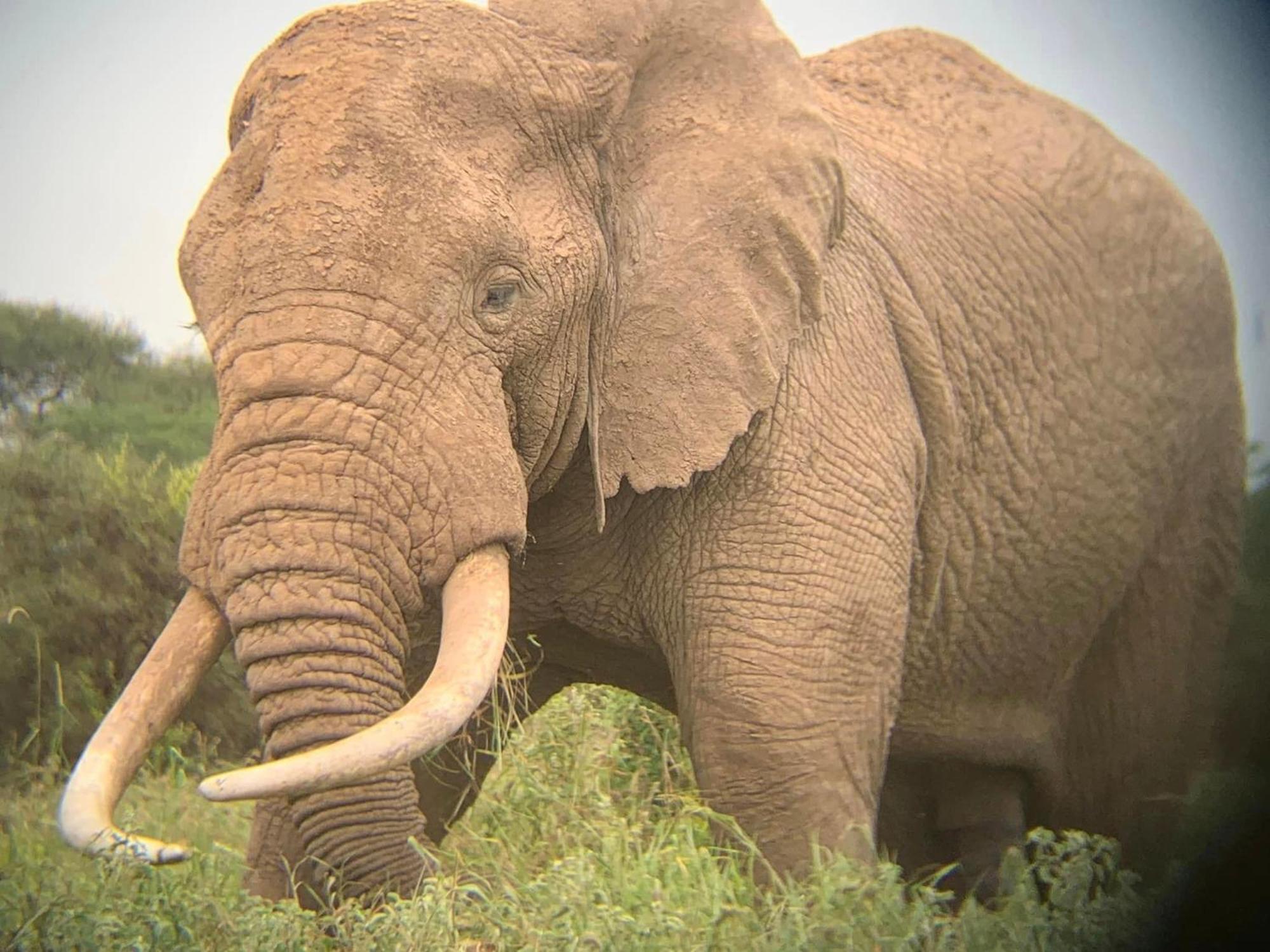 Amboseli Discovery Camp Ngoại thất bức ảnh