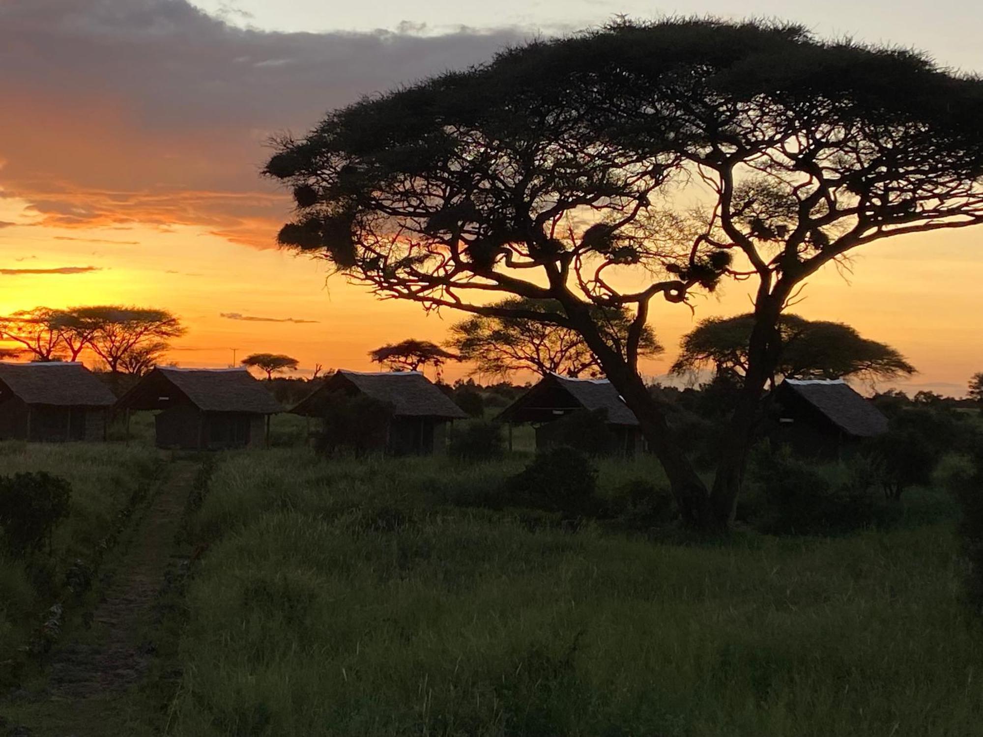 Amboseli Discovery Camp Ngoại thất bức ảnh