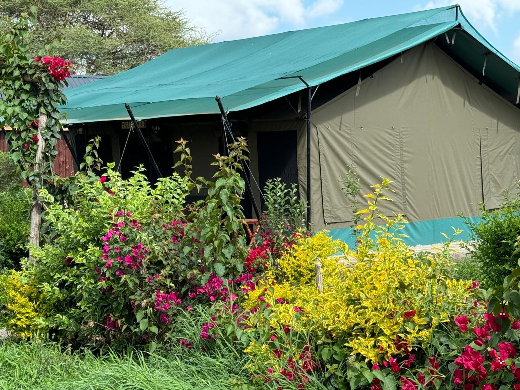 Amboseli Discovery Camp Ngoại thất bức ảnh